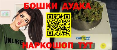 прущие крисы Новодвинск