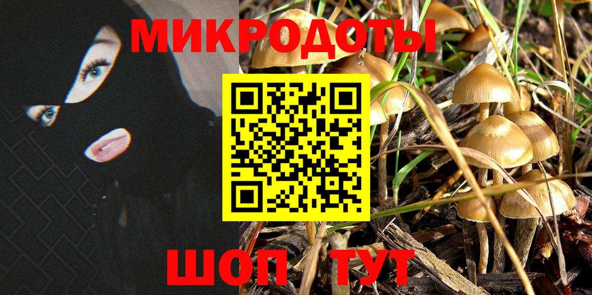 Псилоцибиновые грибы Magic Shrooms  Псилоцибиновые грибы Cubensis  Вход с VPN  Удомля 